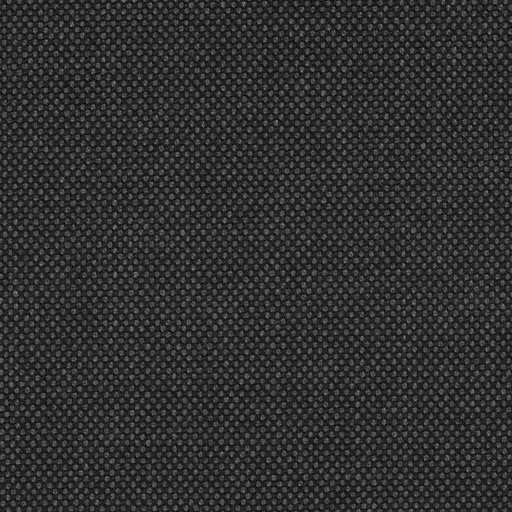 [223911] DARK GREY, BIRDEYE
