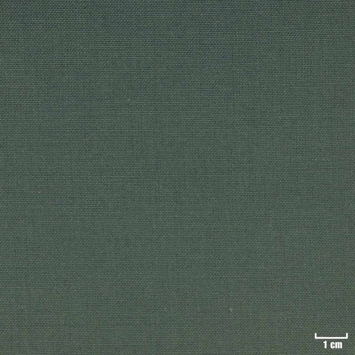 [209977] GREEN, PLAIN