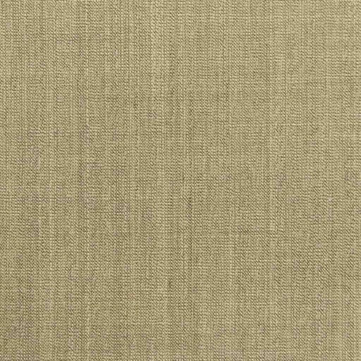 [501770] TAN, PLAIN