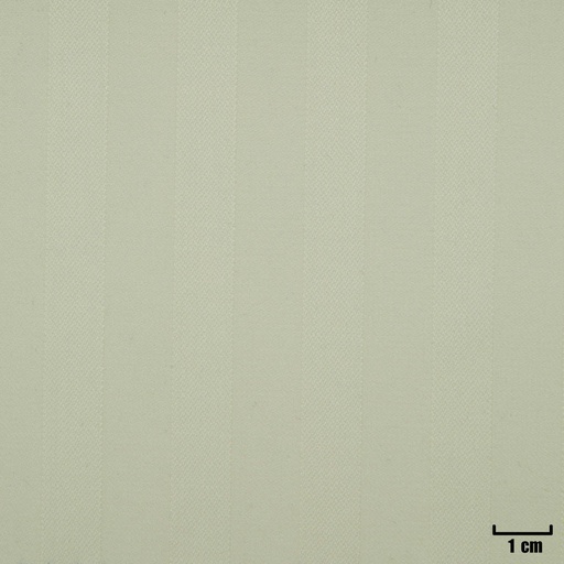 [501279] OFF WHITE, SHADOW STRIPES