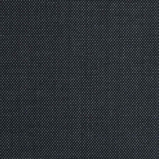 [79151] GREY, BIRDEYE
