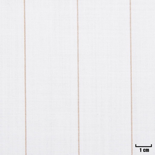 [107509] WHITE, KHAKI STRIPES