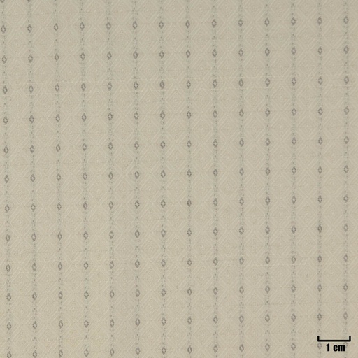 [270346] BEIGE, GREY DOTTED PATTERN
