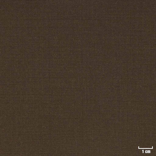 [209962] BROWN, PLAIN