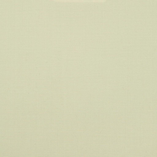 [225478] BEIGE, PLAIN