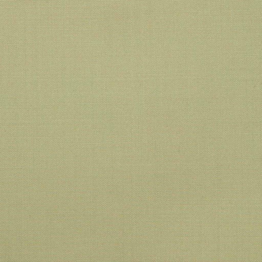 [224467] KHAKI, PLAIN