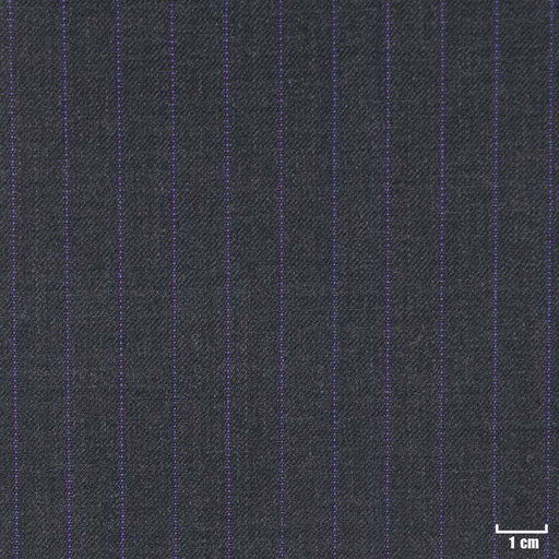 [270309] DARK GREY, PURPLE STRIPES
