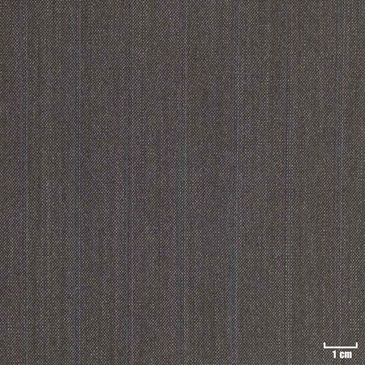 [209907] LIGHT BROWN, BLUE STRIPES