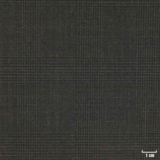 [209949] CHARCOAL, CHECKS