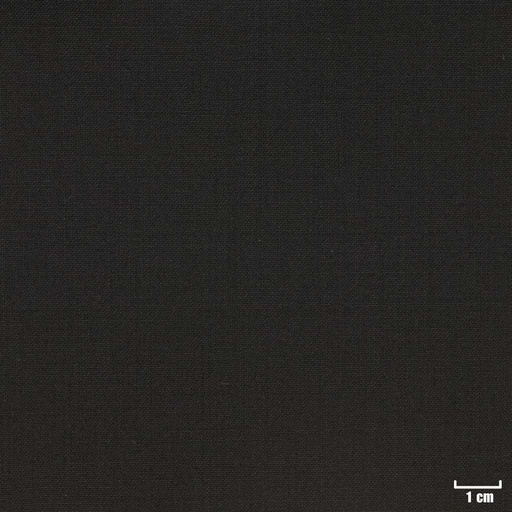[36013] BLACK, PLAIN