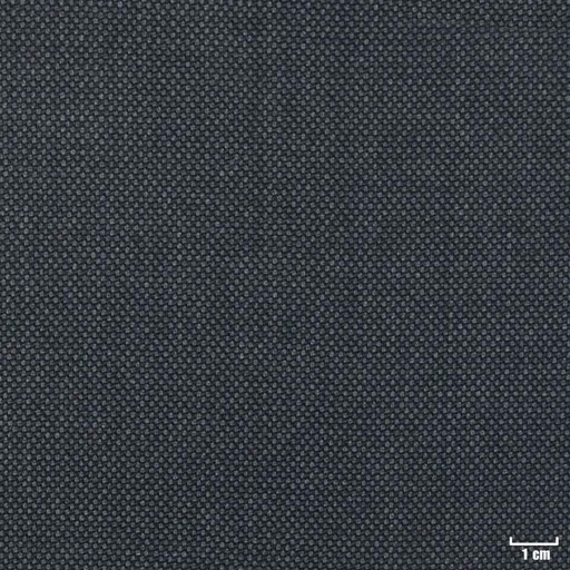 [810670] MEDIUM GREY, BIRDEYE