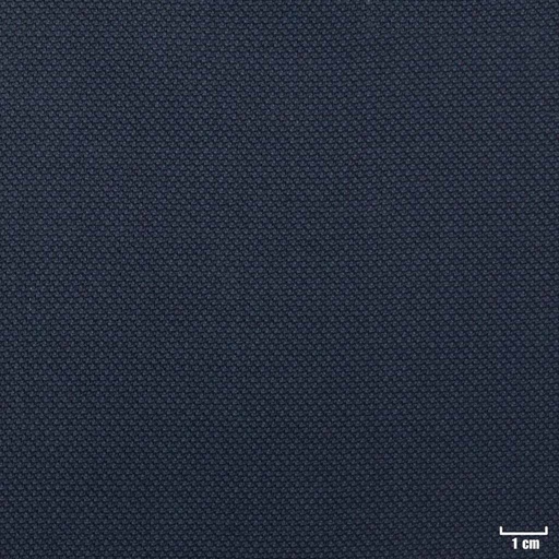 [822637] BLUE, BIRDEYE