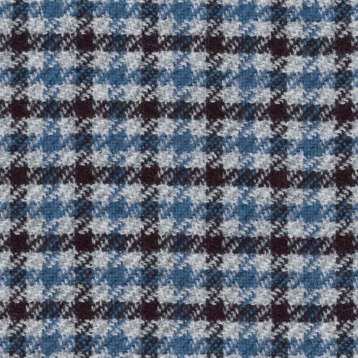 [316217] BLUE, CHECKS (DR# 85017)