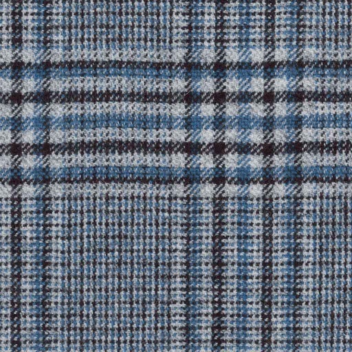 [316218] BLUE, CHECKS (DR# 85018)