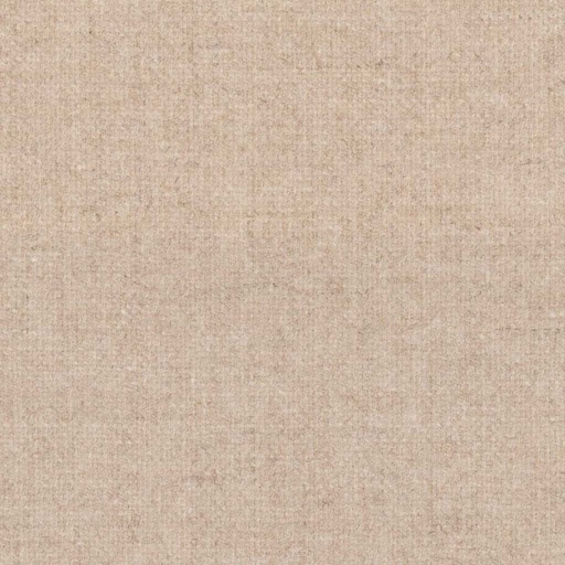 [316226] TAN, PLAIN