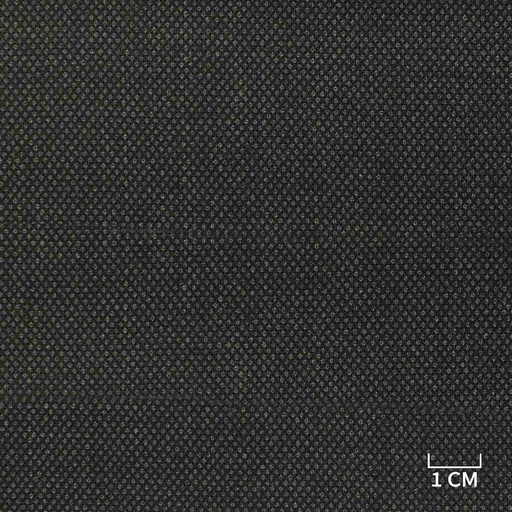 [350921] DARK GREY, BIRDEYE