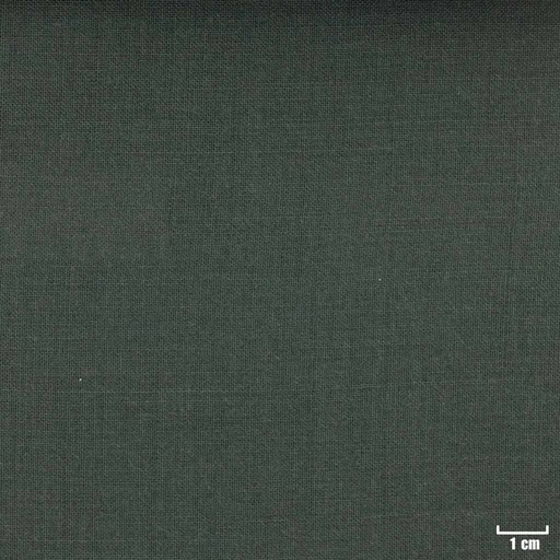 [351845] OLIVE, PLAIN