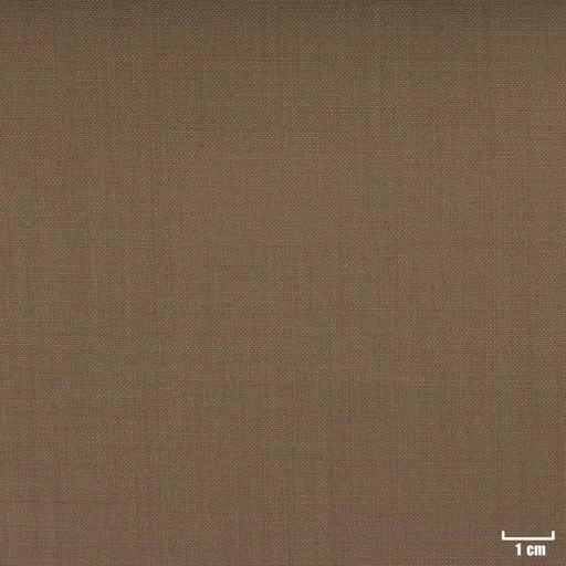 [351936] OLIVE, PLAIN