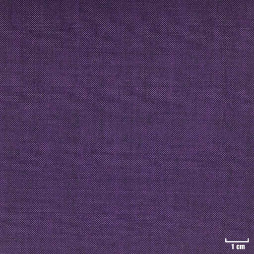 [351939] PURPLE, PLAIN