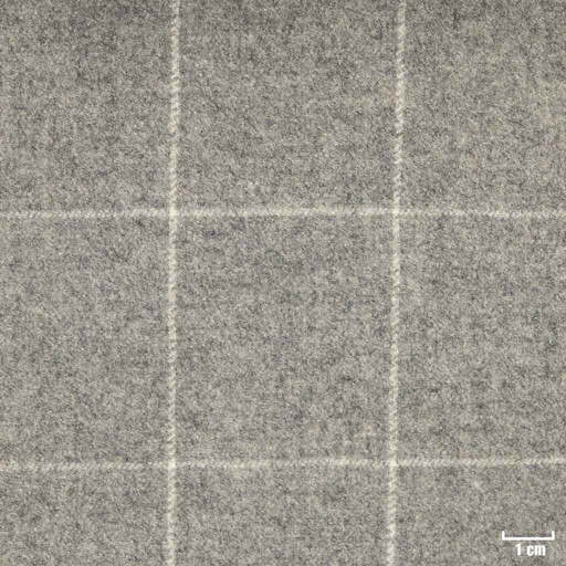 [352015] LIGHT GREY, CHECKS