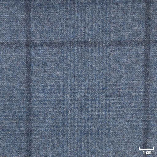 [352029] BLUE, BIG CHECKS