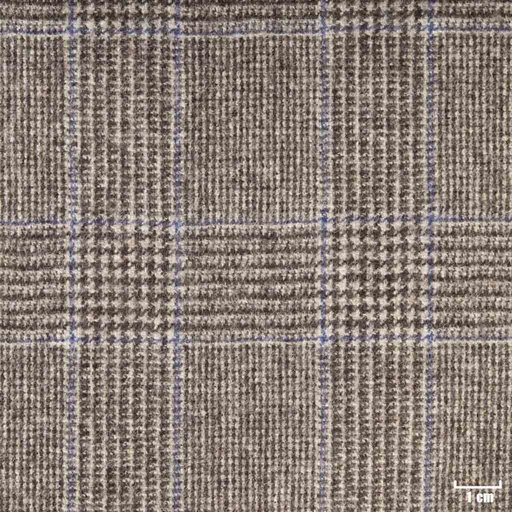 [352045] BROWN, CHECKS