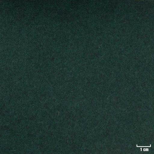 [352057] GREEN, PLAIN