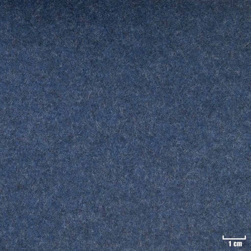 [352066] BLUE, PLAIN