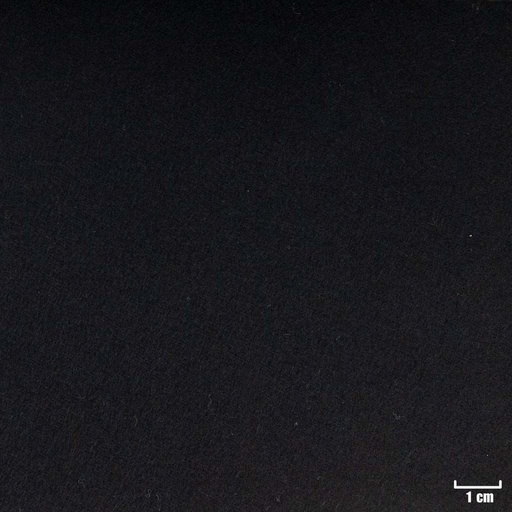 [352069] NAVY, PLAIN