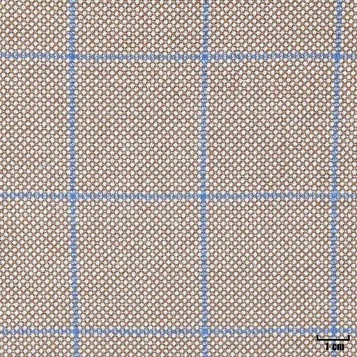 [403936] LIGHT BROWN, BLUE CHECKS