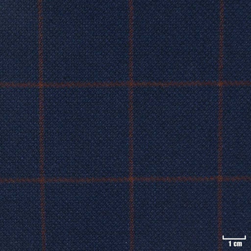 [403937] DARK BLUE, RED CHECKS