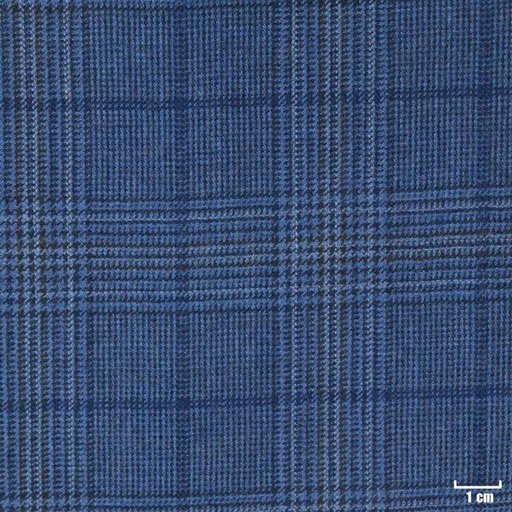 [403950] BLUE, CHECKS
