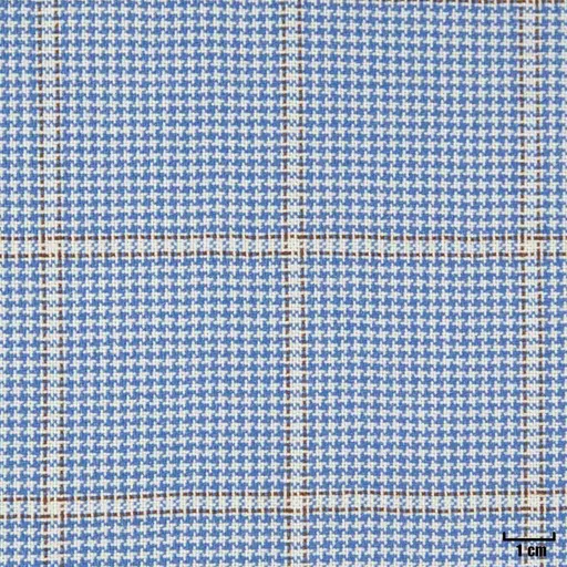 [403951] BLUE, CHECKS