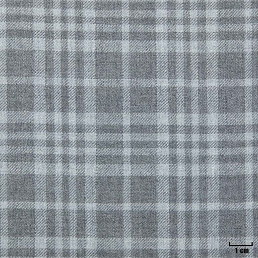 [403947] GREY, CHECKS