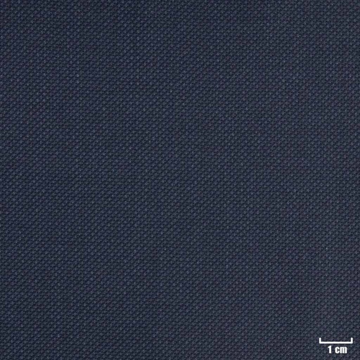 [404132] DARK BLUE, BIRDEYE