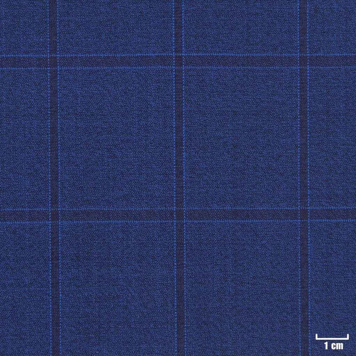 [402001] BLUE, CHECKS