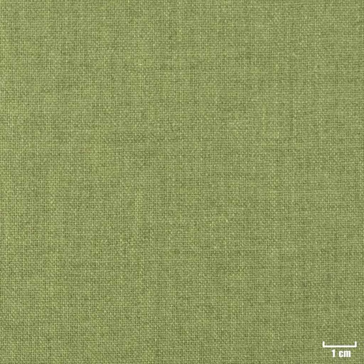 [403920] GREEN, PLAIN