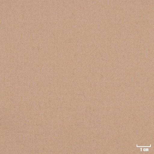 [403431] CAMEL, PLAIN