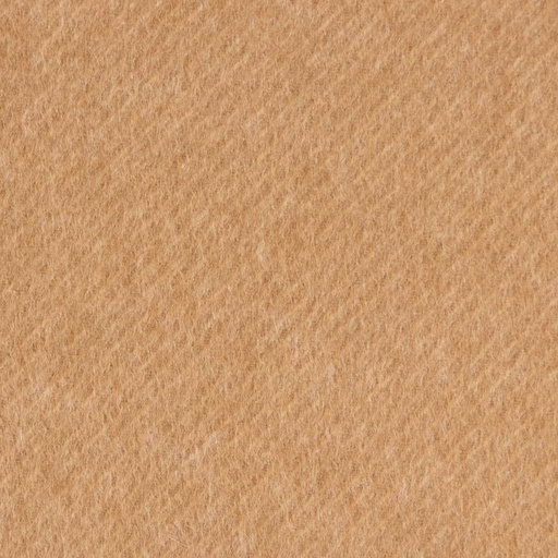 [403516] CAMEL, PLAIN