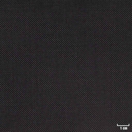 [450117] GREY, BIRDEYE