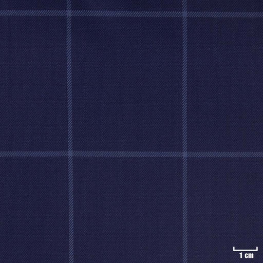 [450120] BLUE, CHECKS