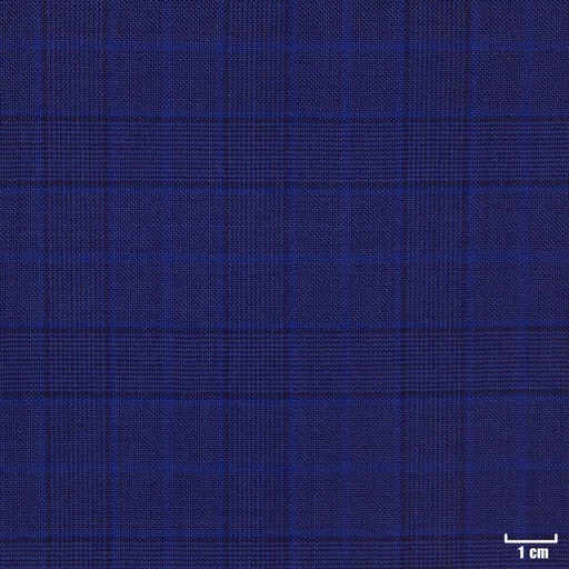 [450205] BLUE, CHECKS