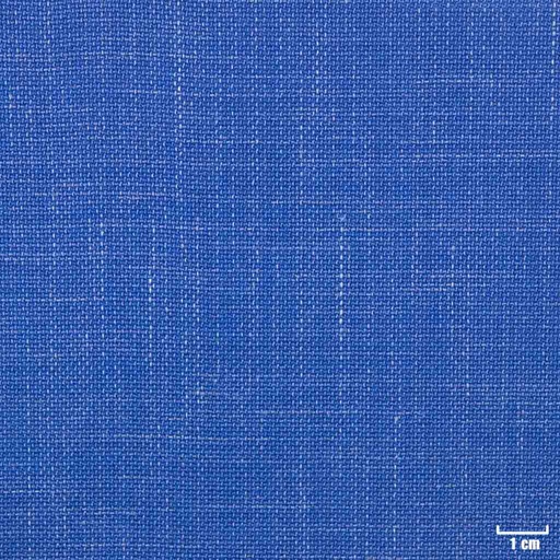 [450504] BLUE, PLAIN