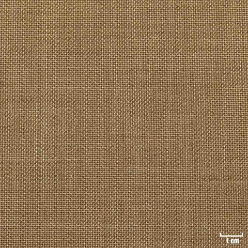 [450507] CAMEL, PLAIN