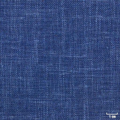 [450513] BLUE, PLAIN