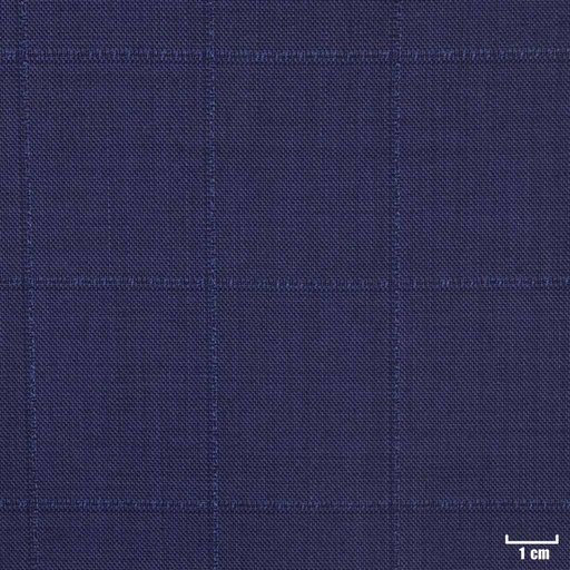 [450542] BLUE, CHECKS