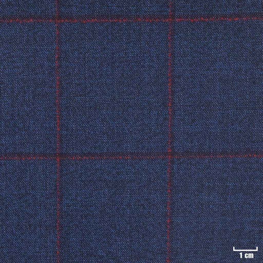 [450737] DARK BLUE, RED CHECKS