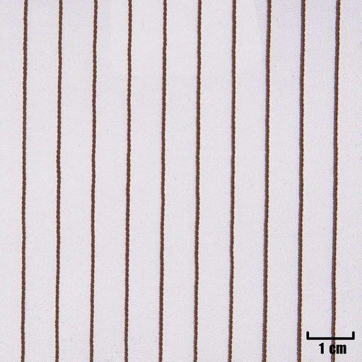 [A919] WHITE, BROWN STRIPES