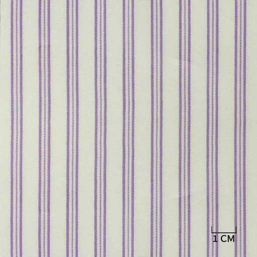 [H10490] WHITE, PURPLE STRIPES