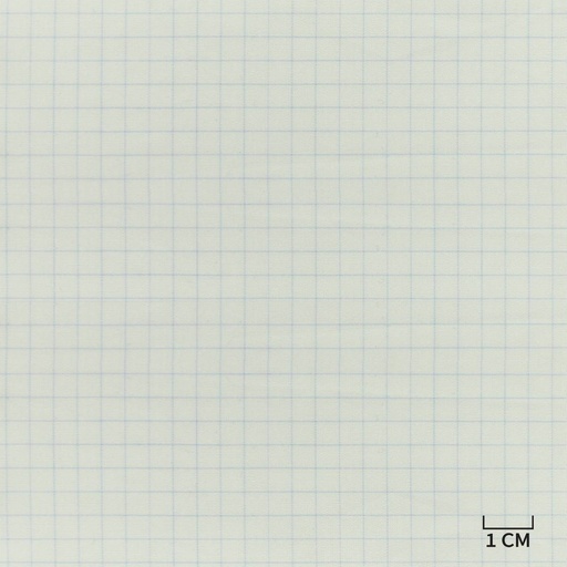 [H10440] WHITE, BLUE CHECKS